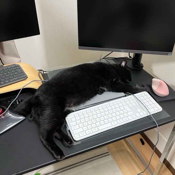 797e9efb e0b6 4afd 8c6e 7bf4dcbbf421 1721829174600