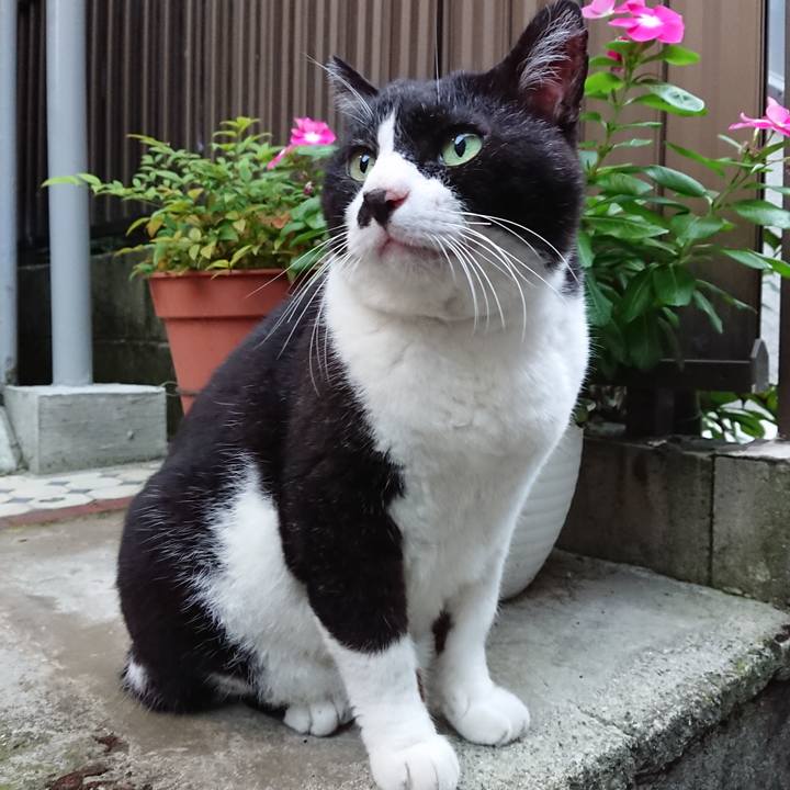 797ec1d2 b98e 4176 b846 2623f6c141f5 1629794932519