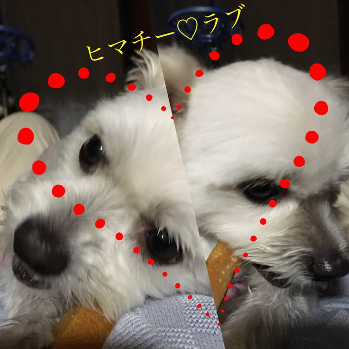 797ec774 5996 4b40 8031 fe7139205b7a 1538283667240