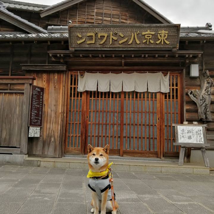 797ef4f9 68af 4c59 9835 e1f5f52d78c2 1617708358036