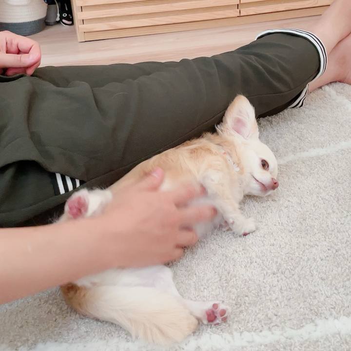 797f2429 49aa 421c a146 9be067ce114f 1716024163898