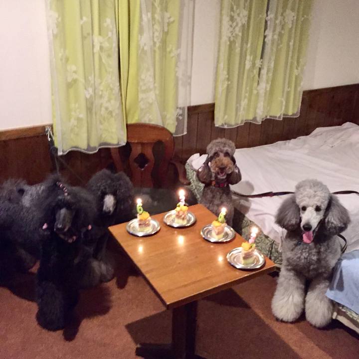 797f4249 8f74 4469 9d0e 9e4e03f1af40 1523929714837