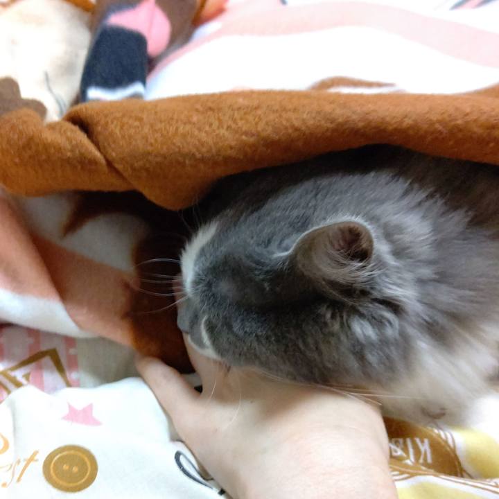 797f5cc2 2379 4e48 929b a7253eae74da 1581549535919