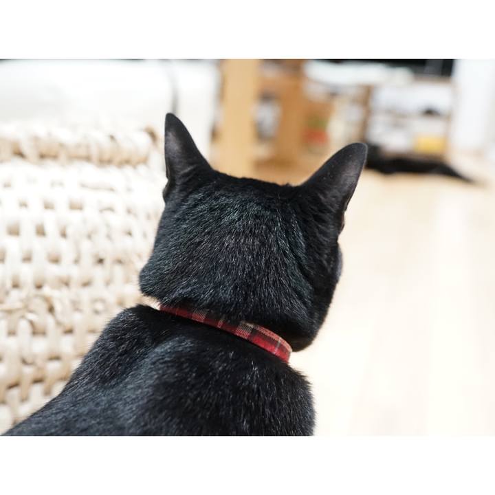 797f6e80 5d40 4ee3 9688 af7bd718d7af 1562295872031