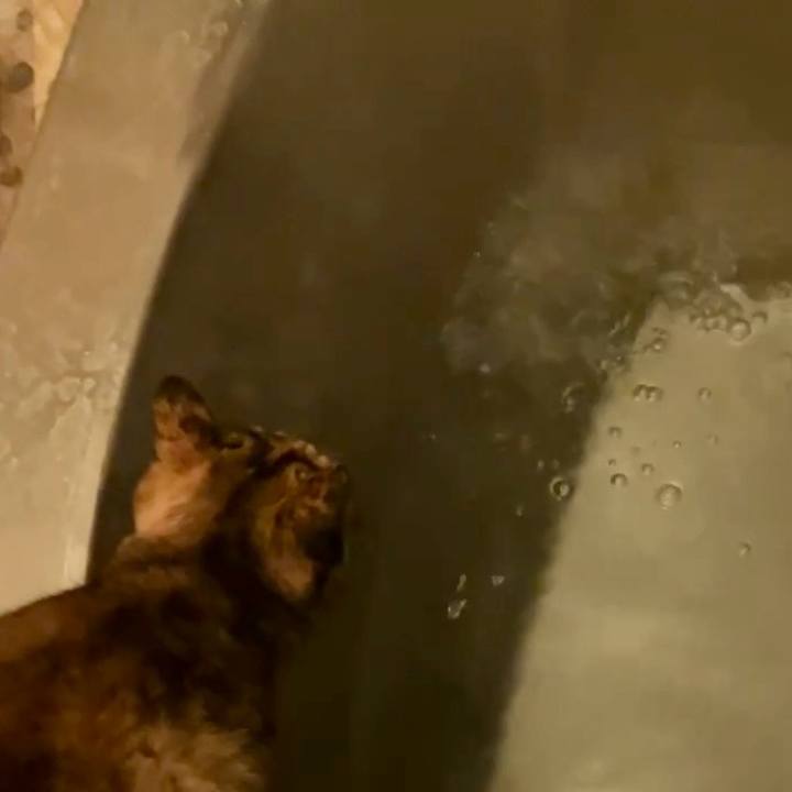 797f7479 d171 4c78 8afb 784ac740881f 1732471905817