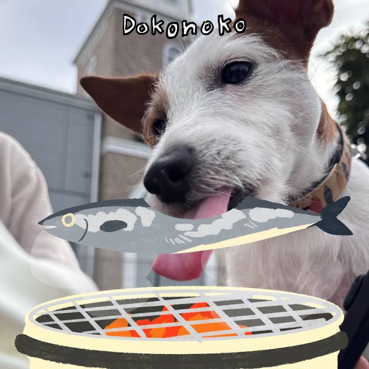 797f7c3e a4d4 4887 a9e1 abb7b5d31b66 1763685985262