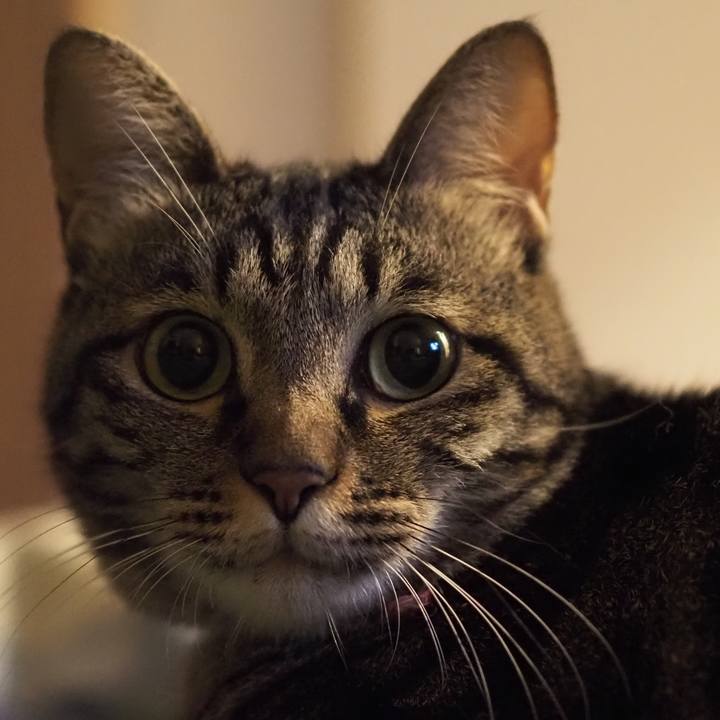 797f8a47 8ec1 4927 af49 1f439c1799ba 1598967474980