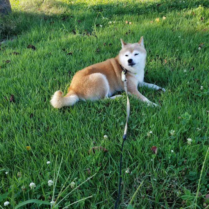 797f97d3 1447 4d03 a6ef 42ab2758708c 1660897001700