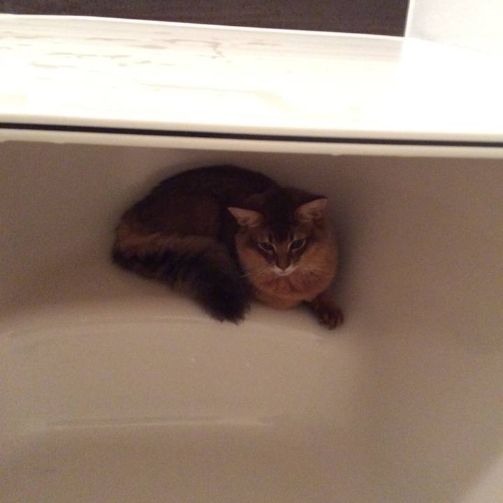 797fc231 a4ff 4793 9c57 110af5b35d70 1580305679006