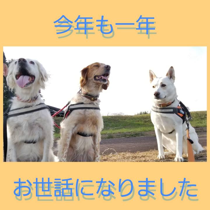 797ff767 df1d 4c73 a22a 129ad3e30dd4 1672453366378