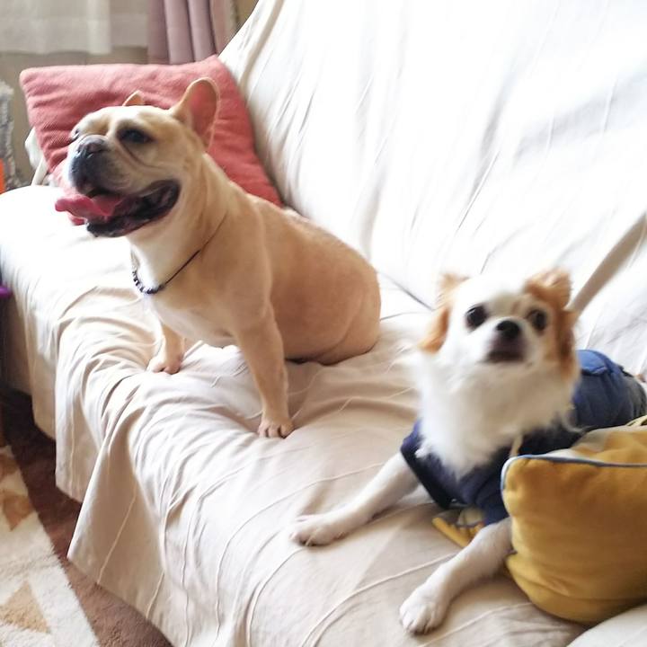 798011e4 6b4a 4c1d 9db8 37ef26782628 1537591376403