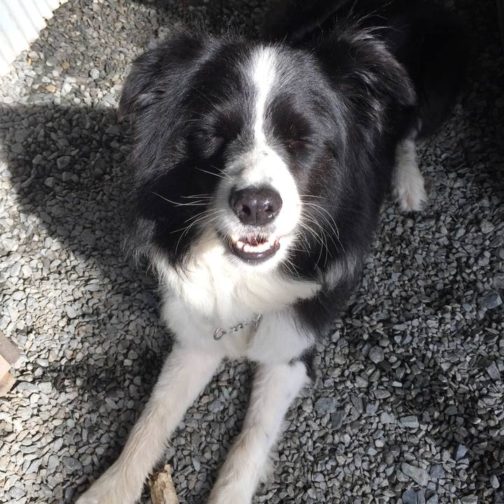 79801662 d879 4e88 88ac 0184e89b3b09 1536971147638