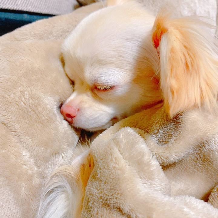 79805315 ed9d 420c 93ed 79d3858b4ede 1622377981108