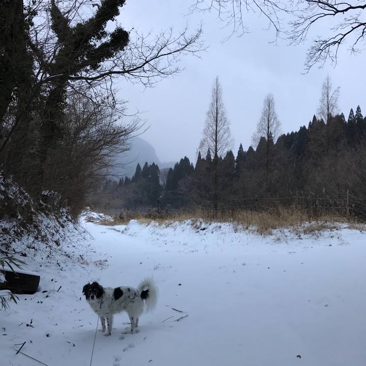 7980692b b7e7 4f4b ad1e 95ad159f1b3b 1518416810226