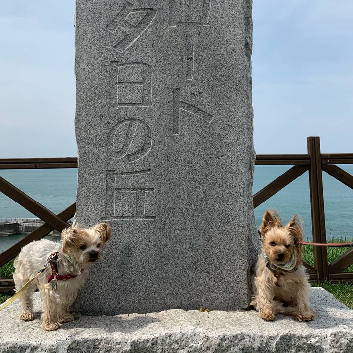 7980777e 3a36 4068 8a09 f50b2d81b226 1556614647345