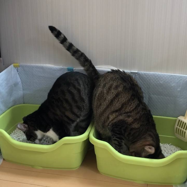 7980aaf1 9429 4f24 b931 f279990e9bff 1517367135530