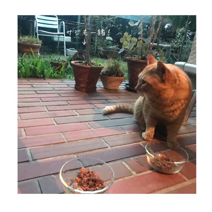 7980e8ea 909e 47c1 bb44 1d6565740fd3 1616233404104