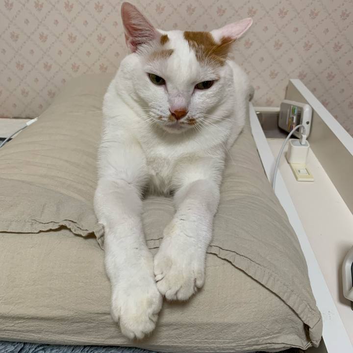 7980ff0e eddf 41ba 87b4 ec8718b52f7a 1638137099510