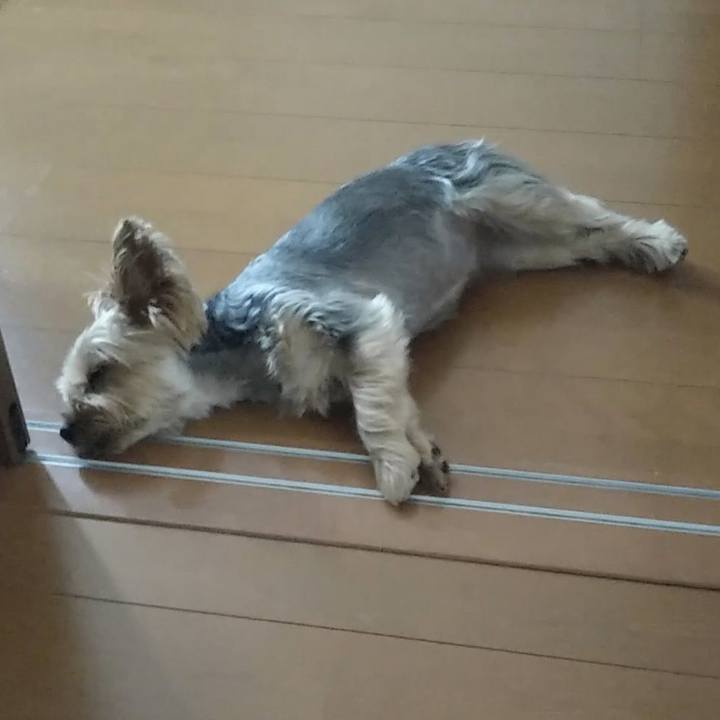 79810eb6 a636 4208 9f1f 6526ace32b1e 1688293253573