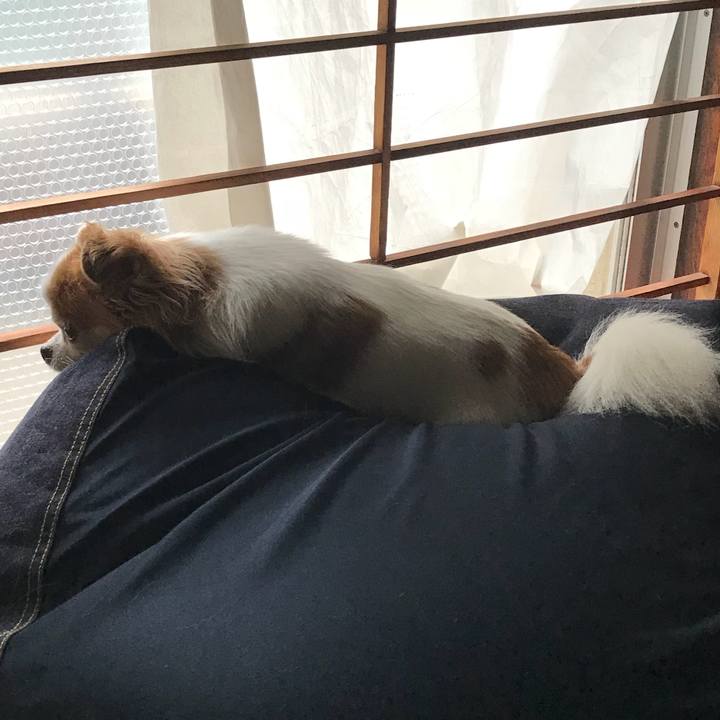 7981250c fe84 4e25 9d62 b03d21c42cbc 1530444178999