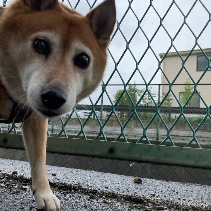 798135a8 d863 4a48 9c69 a5ffc1593fc0 1665038658167