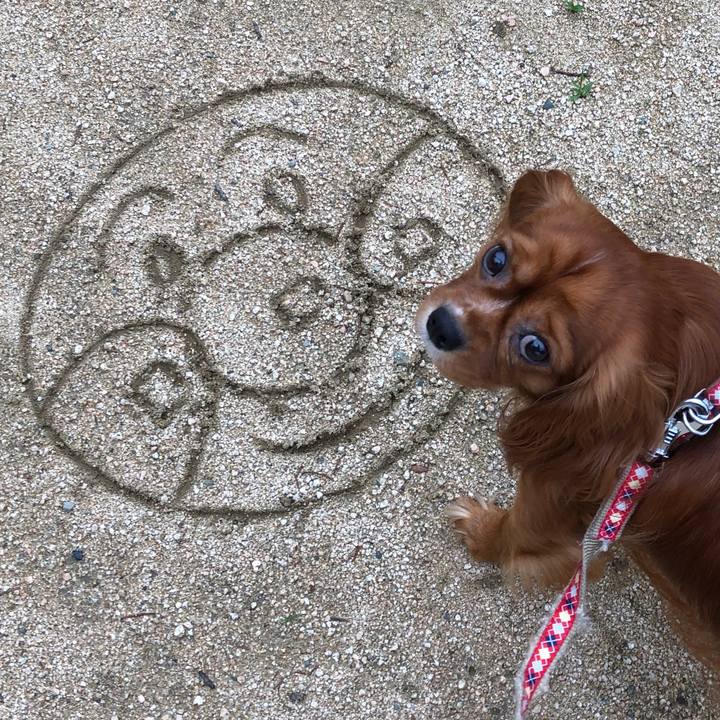 7981566e 1466 40bd bbdc 2a2e6baa6e6a 1563625838585