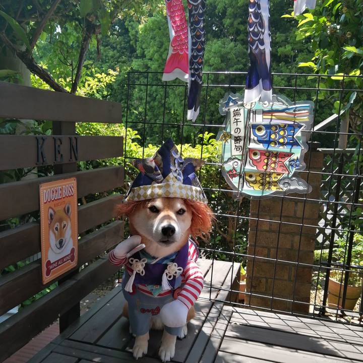 79816ac6 3142 4dcb b7e8 92fe19b9ca68 1683175635406