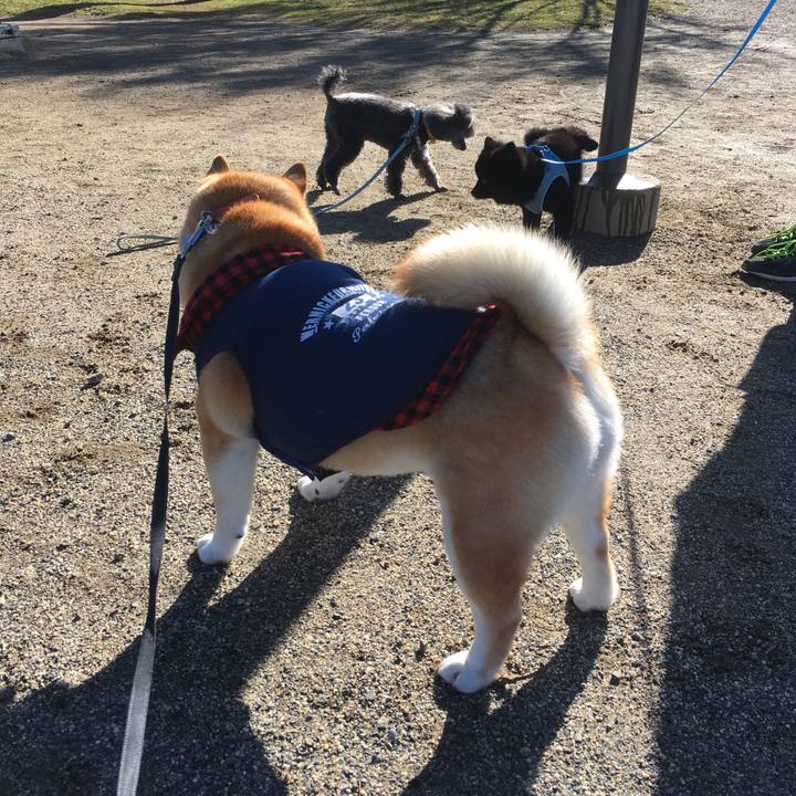 79818b1c 833e 46b4 8cc7 18e3c1e1f3c2 1542938032290