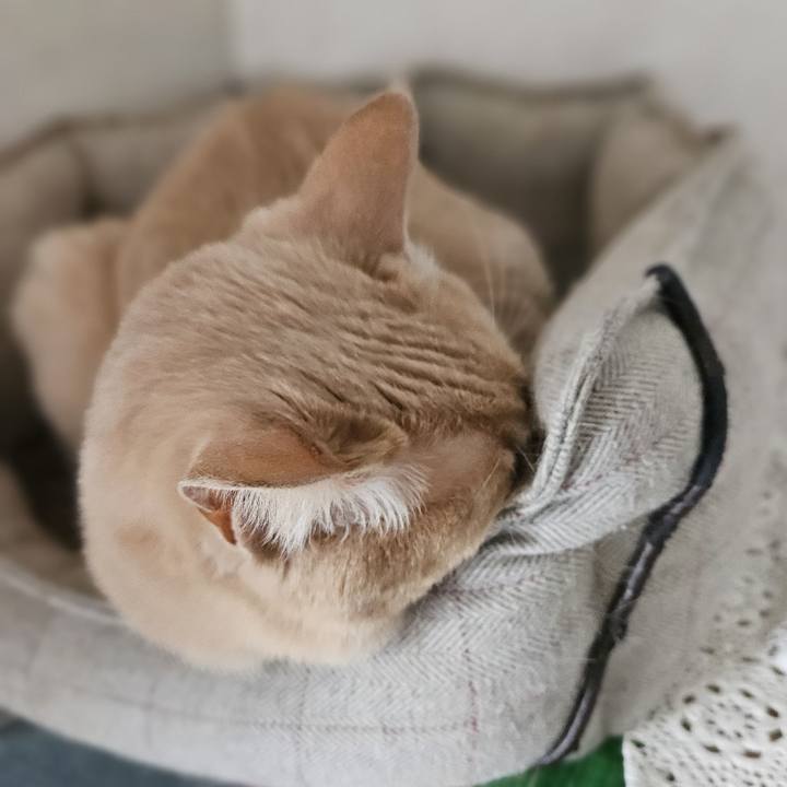 79819a73 ac44 4caa ae7c a67819810598 1769668308260