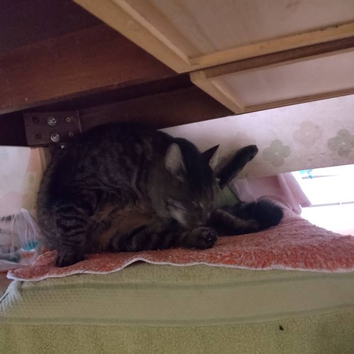 7981b201 b420 4a9b 9b03 5caa18c02050 1704490508940