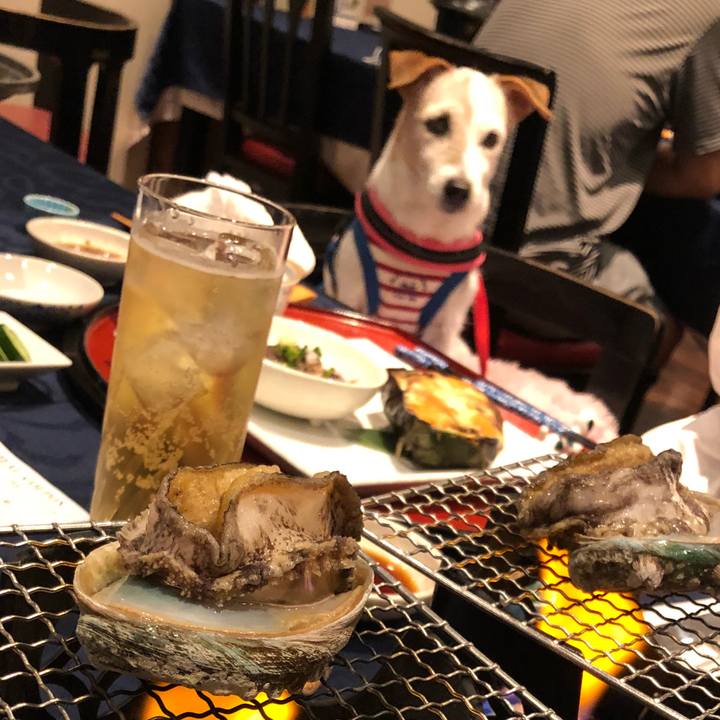 7981b49e f40a 4775 8375 bbb01c18b576 1537967905830