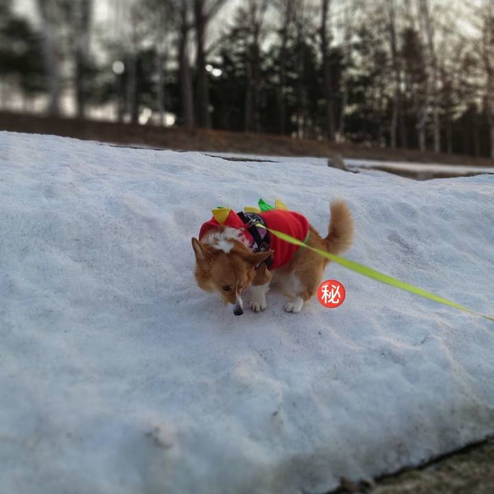 79820a43 0612 46e1 91e0 0dc46f294aaf 1773705004342