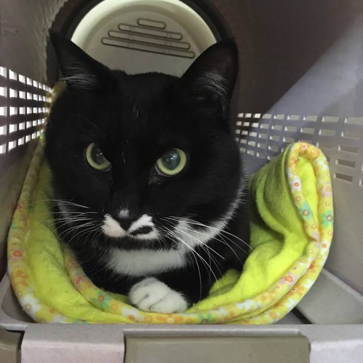 7982151c cd7f 4468 92fb f0912b8f6a6f 1521433392252