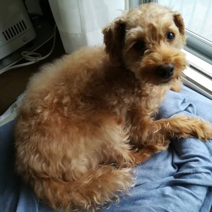 79821710 b448 4c1b b1d2 fc7bd556f57d 1566605364009