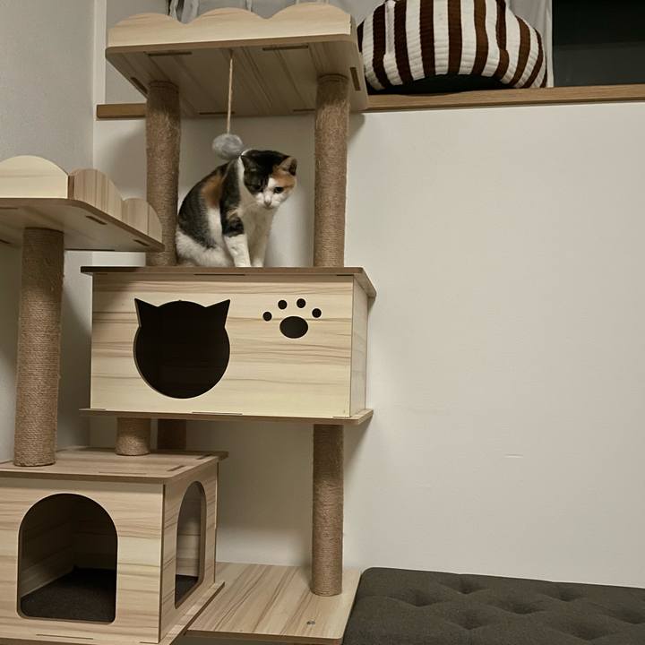 79825e14 6b03 49ff 8316 f8dd0a47f319 1669216990964