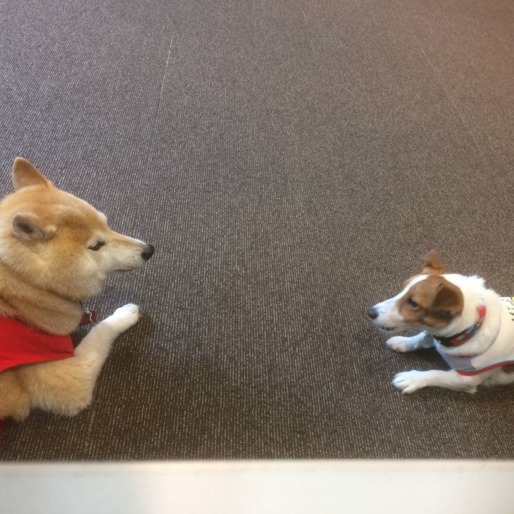 798266ee 940b 4346 9a0d e1762c704ca5 1532533303614