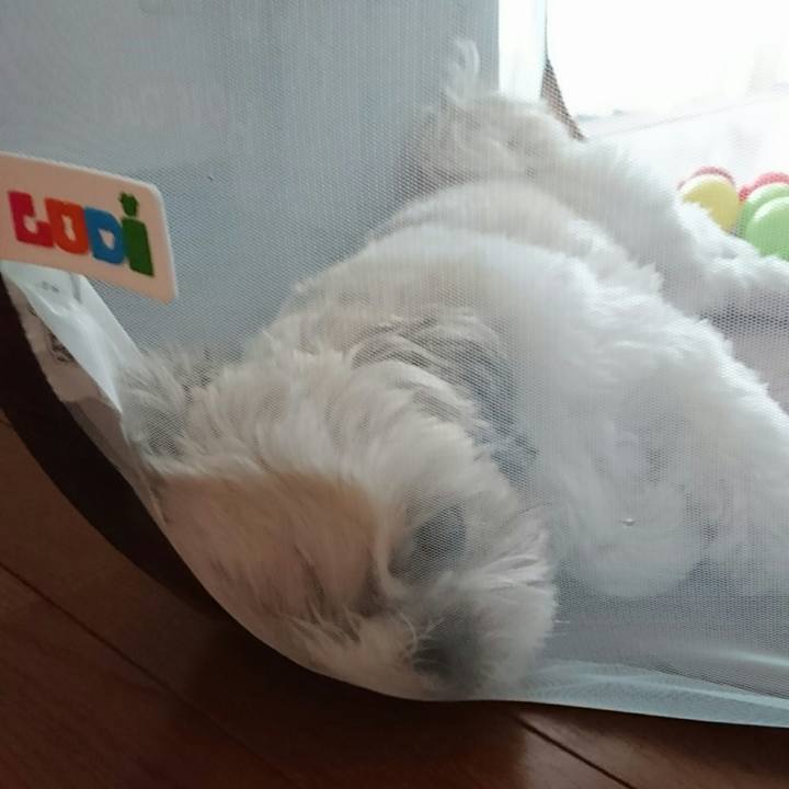 79826f48 8188 476e 9816 32ca35eb2544 1534155469627