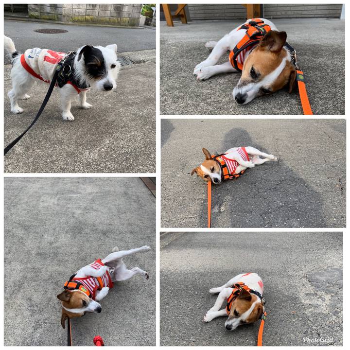 7982bbb1 ea31 4691 bfbd 4b7895d340ad 1557909419437