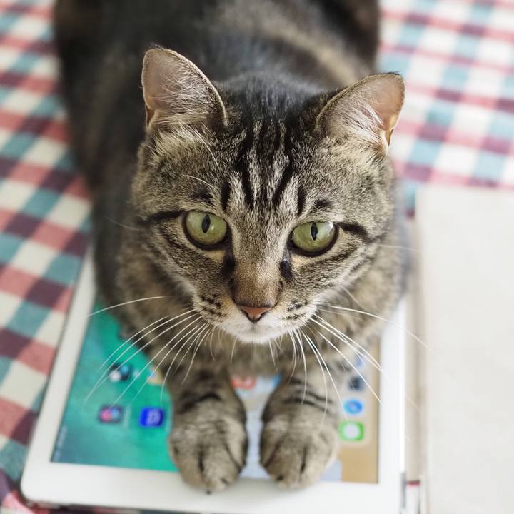 7982fd5e f7c4 467c 8a21 5096bdb6b04f 1658201280235