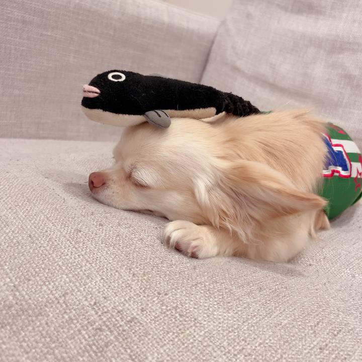 7982ff43 7e03 4ab8 be6f c54fcc6116bb 1719491941040