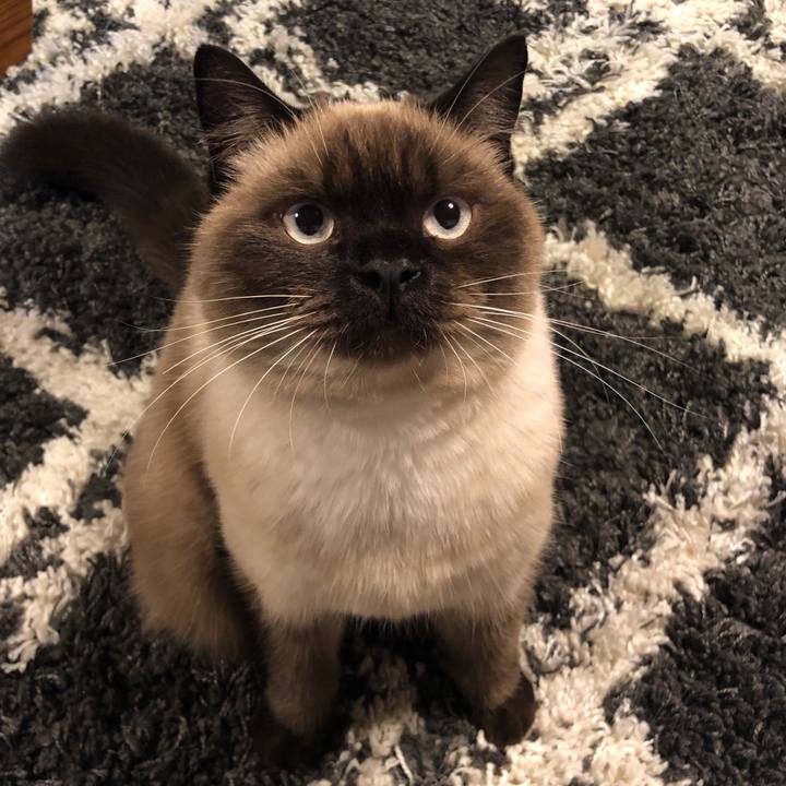 79831e70 7dce 46ef bd44 927e2f01e122 1606221550418