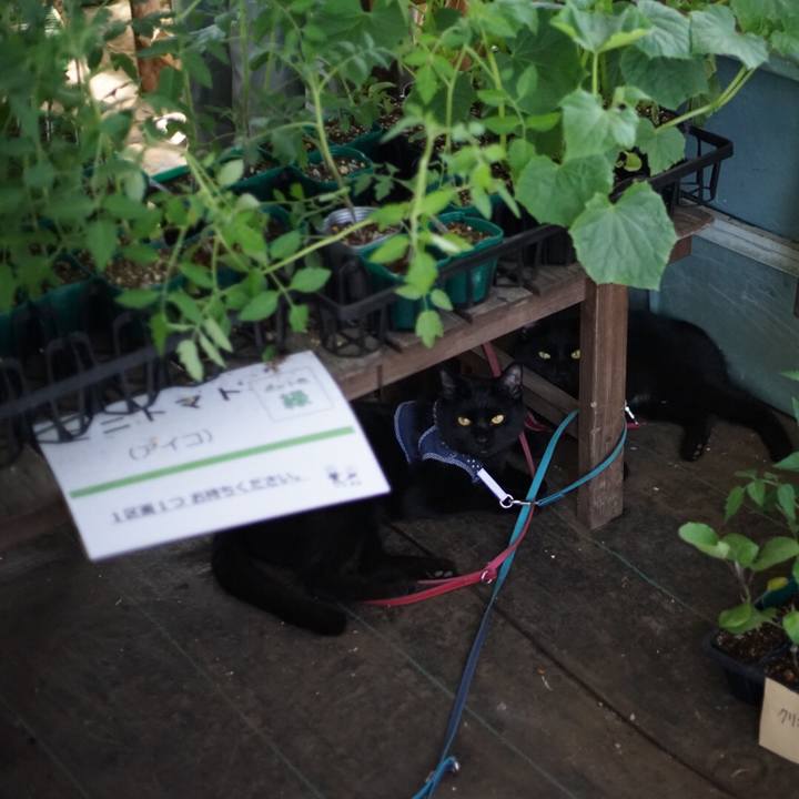 798328ab ac26 4e73 8006 1dfc4a5a4e92 1524925865392