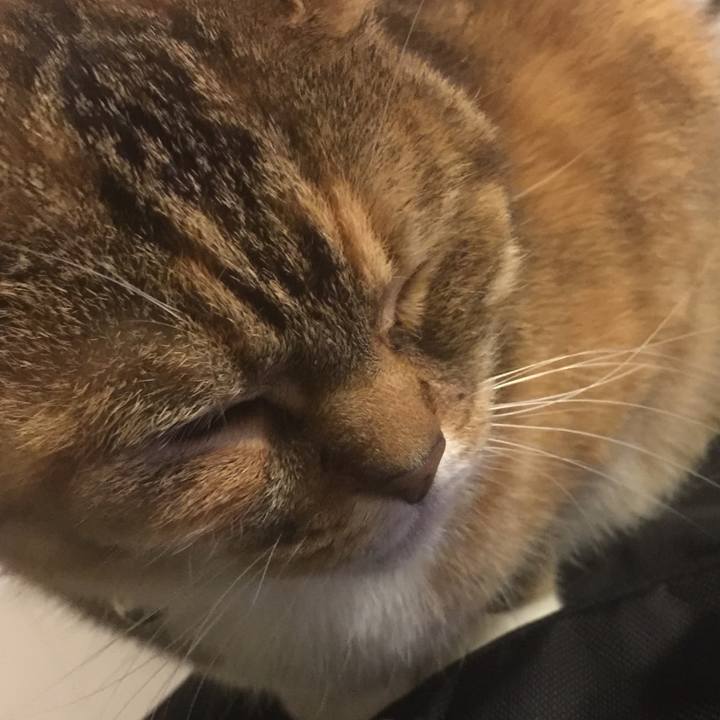 79835a29 d730 4e55 92da 6c5337cd13ff 1553010767124