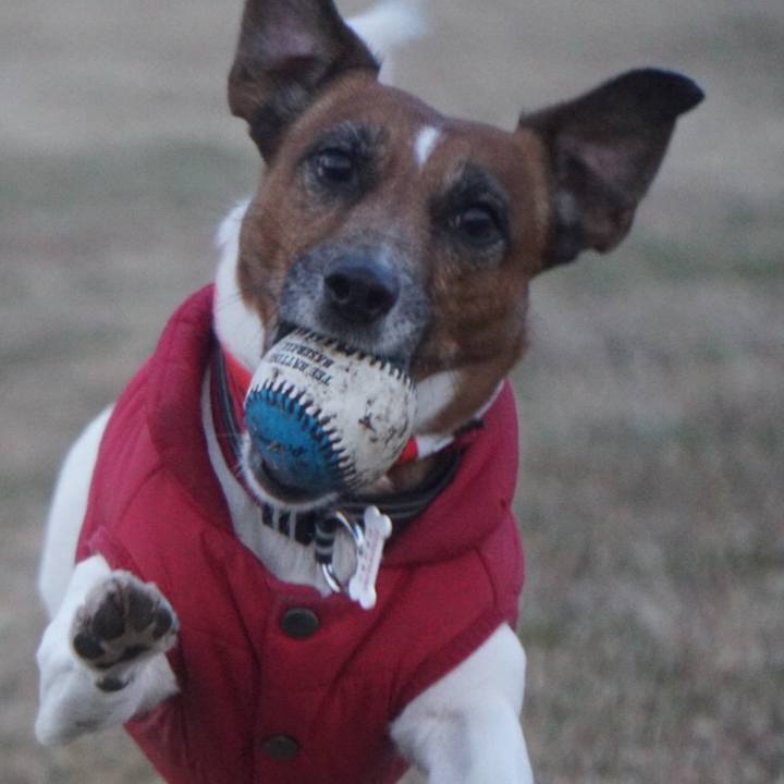 79836fe4 506c 4547 ad4b 3fe56b5d2897 1550272248512