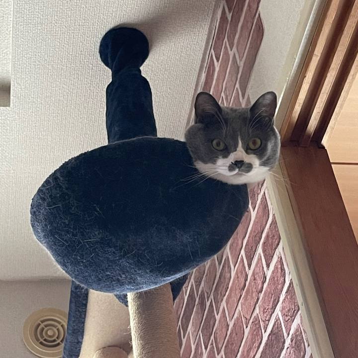 7983780a 8eae 4141 b24d 19d776fb8351 1662279479375