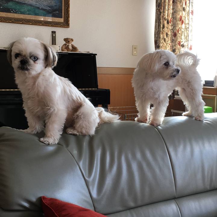 79838d2e 1c4e 4b2f 8d59 1679165c104d 1546339143384