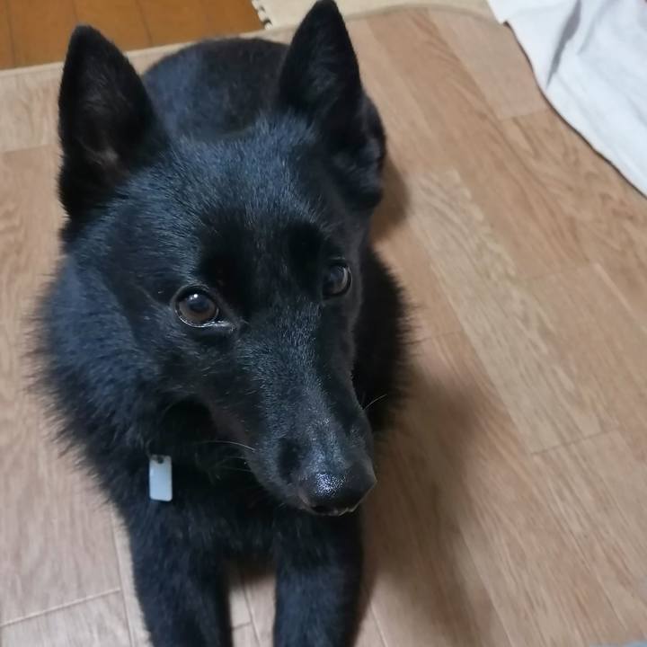 7983a0ea 85fd 4a6a 986a a5b692699f92 1631134912962