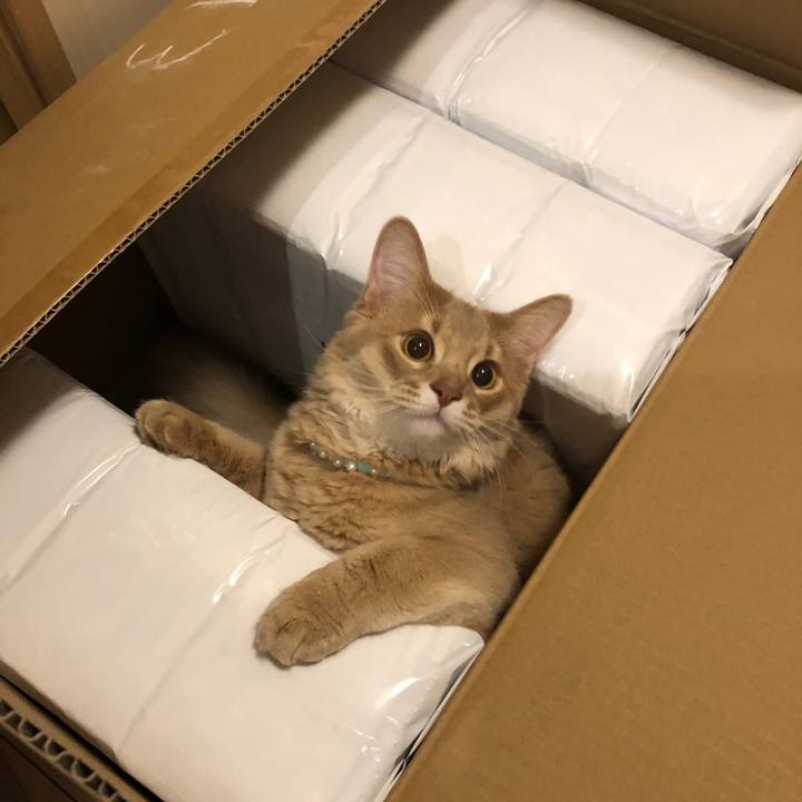 7983b7f6 1fdd 45f1 826e 733f17dc25c5 1558242429689