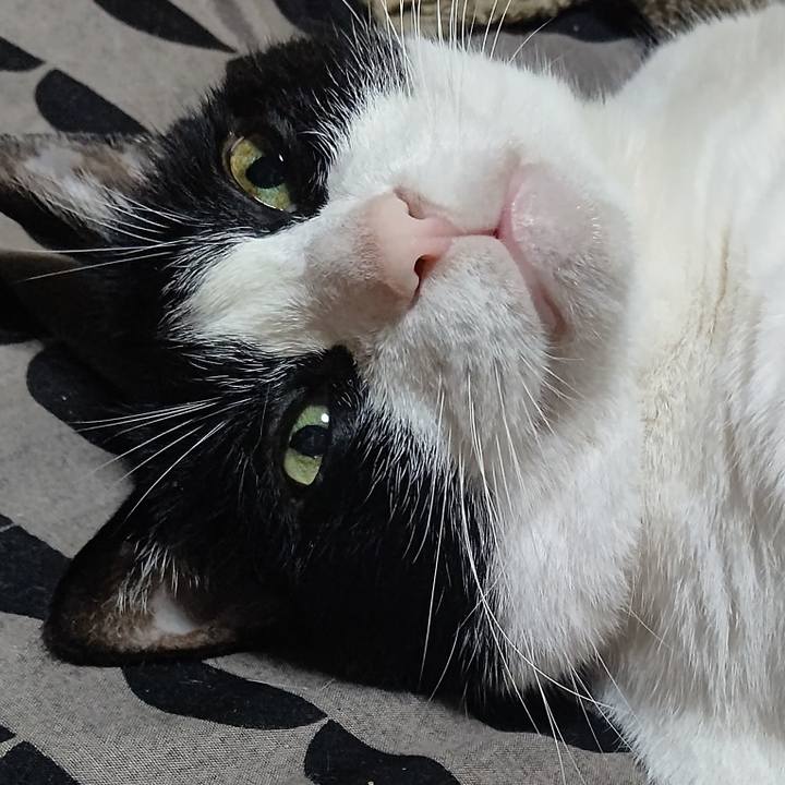 7983cd07 6cf5 4b6a 891a 1d8ed8407957 1634391917949