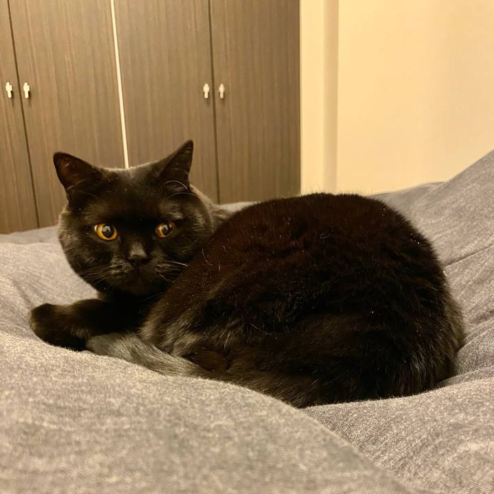 7983f62c 4bb6 4dd2 a246 861bb41c184a 1681998117571